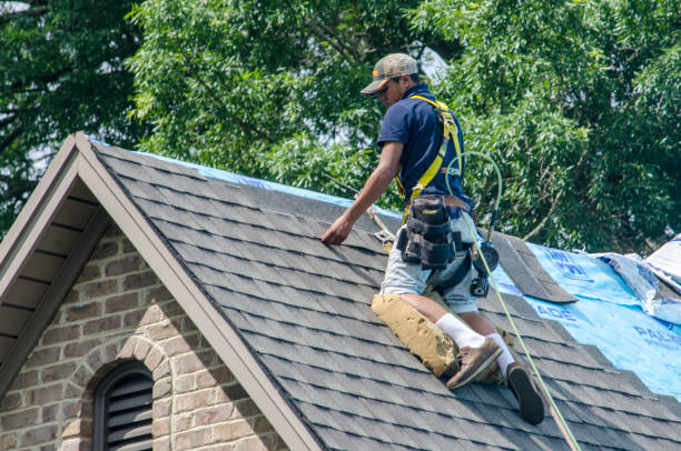 Best Roof Leak Repair  in Shinnston, WV